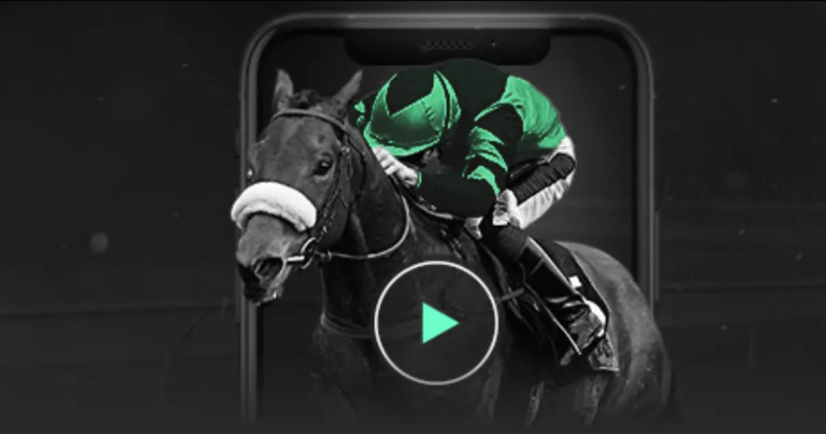 国家档案馆,致力于提高,档案公共服,球天下体育,体育赛事信息,足球赛事平台,篮球赛事资讯,赛事数据